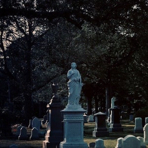 Forest Hills Cemetery Canvas Print