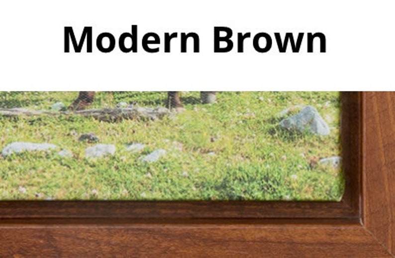 Pu&ograve; includere: Un'immagine incorniciata con una cornice in legno marrone. L'immagine all'interno della cornice raffigura un campo erboso con rocce e alberi. Il testo "Modern Brown" &egrave; visualizzato sopra l'immagine in lettere nere.