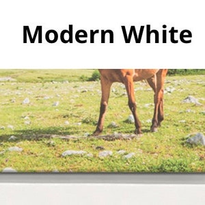 Puede incluir: Un caballo marr&oacute;n se encuentra en un campo de hierba con piedras dispersas. El caballo est&aacute; de espaldas a la c&aacute;mara, con la cabeza y la cola fuera del encuadre. El fondo es un cielo azul brillante con nubes blancas.