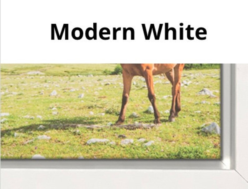 Pu&ograve; includere: Stampa su tela incorniciata con un cervo in un campo erboso. L'opera &egrave; incorniciata in un bordo bianco e presenta le parole "Modern White" nella parte superiore. Le zampe del cervo sono visibili, in piedi sull'erba verde.