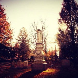Forest Hills Cemetery Canvas Print