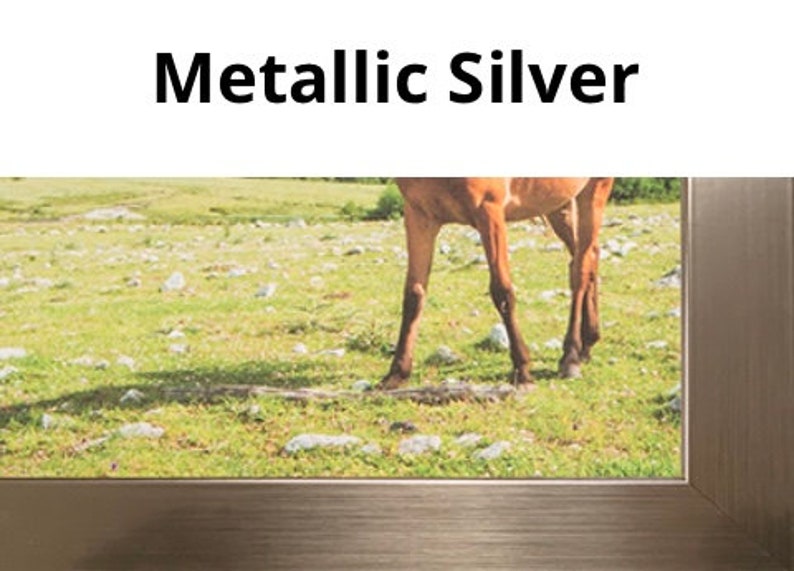 Pu&ograve; includere: Una cornice argentata metallizzata con la vista di un cavallo in un campo erboso. Il testo "Metallic Silver" &egrave; nella parte superiore della cornice. La cornice ha una finitura metallica.