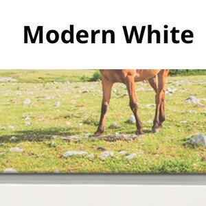 K&ouml;nnte beinhalten: Ein braunes Pferd steht auf einer grasbewachsenen Wiese mit verstreuten Steinen. Das Pferd ist von der Kamera abgewandt, und seine Beine sind sichtbar. Der Hintergrund ist eine verschwommene gr&uuml;ne Wiese.