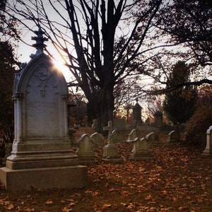 Cemetery Canvas Print