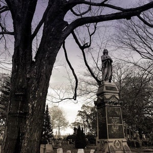 Forest Hills Cemetery Canvas Print