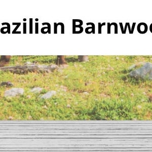 K&ouml;nnte beinhalten: Ein Holzrahmen mit Blick auf eine grasbewachsene Wiese mit Steinen und B&auml;umen im Hintergrund. Der Rahmen ist aus brasilianischem Scheunenholz.