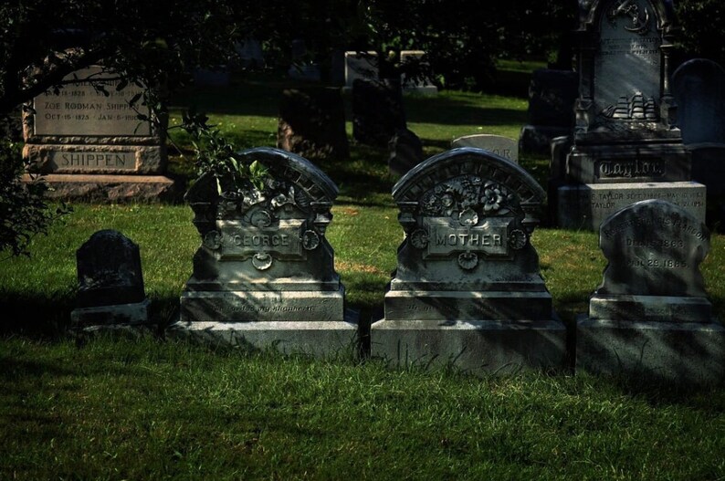 Pu&ograve; includere: Una scena del cimitero con diverse lapidi usurate. Le lapidi, con iscrizioni come "GEORGE" e "MOTHER", sono situate in mezzo all'erba verde. L'immagine evoca un senso di storia e ricordo.