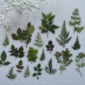 Pegatinas de boda para sobres, Sellos de sobres, Planificación de bodas, Planificador de bodas, Invitación de boda, Pegatinas de hojas, Helechos, Conjunto de pegatinas