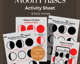 Moon Phase Activity Sheet, PDF, PNG, Digital Download, Moon Phases Learning Sheet, Great for Solitare or Coven activities, Moon Cycles