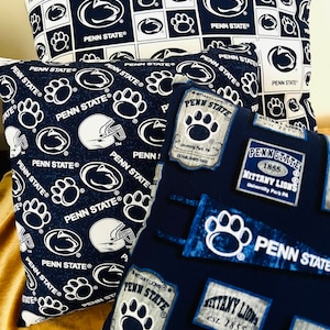 We Are...! Decorative Pillows- Fully Stuffed - Ready to Display