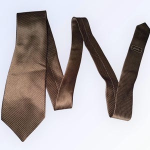 Könnte beinhalten: Eine braune Seidenkrawatte mit einem dezenten Punktmuster. Die Krawatte hat einen leichten Glanz, und das Etikett lautet "LANVIN". Ein klassisches Accessoire für formelle oder geschäftliche Anlässe. Die Krawatte ist einfarbig.