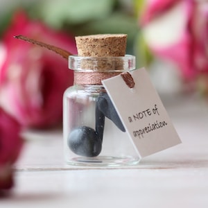Puede incluir: Una pequeña botella de vidrio con un tapón de corcho contiene una nota musical negra. Una etiqueta blanca unida a la botella dice "A NOTE of appreciation". La botella está rodeada de rosas rosas.