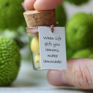 When Life Gives You Lemons, Make Lemonade, Kitchen decor Lemonade Party Decoration Positive Inspirational Quote Birthday Christmas Gift