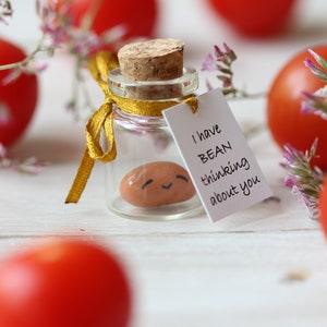 May include: A small glass jar with a cork lid and a gold ribbon tied around it. Inside the jar is a brown bean with a painted smiley face. A white card attached to the jar reads "I have BEAN thinking about you".
