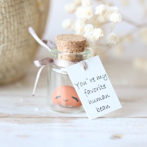 Cute Baked Bean Gift, You Are My Favourite Human Bean, Punny Birthday Valentines Day, Christmas, Best Friend Gift Miniature Bean in a Bottle