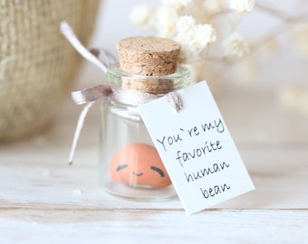 Cute Baked Bean Gift, You Are My Favourite Human Bean, Punny Birthday Valentines Day, Christmas, Best Friend Gift Miniature Bean in a Bottle