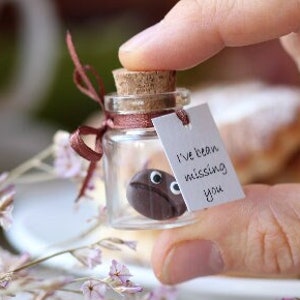 Coffee Bean Companion Glass Bottle: Expressions of Longing Boyfriend Girlfriend Reconciliation Coffee Lovers Pun Gift  Family Reunion Favors