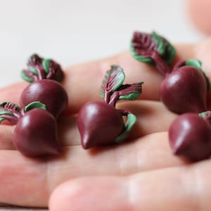 Beetroot Mini Gemüse 1:6 Miniatur Essen für Puppenhaus 5 Stück Beet Veggies