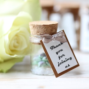 Bulk Succulent Wedding Favors for Guests Personalized Thank You Gift Customized Bridal Shower Baptism  Anniversary Baby Shower Party Favors
