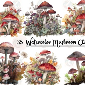 May include: A set of 35 watercolour mushroom clipart illustrations. The mushrooms are depicted in various sizes and colours, including red, brown, and white. Some mushrooms have white spots, while others have a more textured appearance. The mushrooms are surrounded by leaves and other foliage, creating a realistic and whimsical scene.