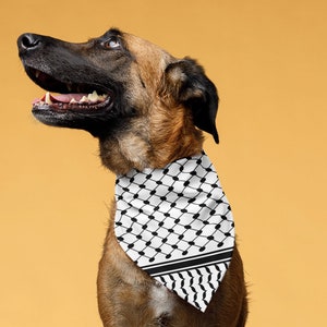 White Cat Dog Pet Keffiyeh Hirbawi Palestinian Pattern Bandana Shemagh Hatta Collar Harness