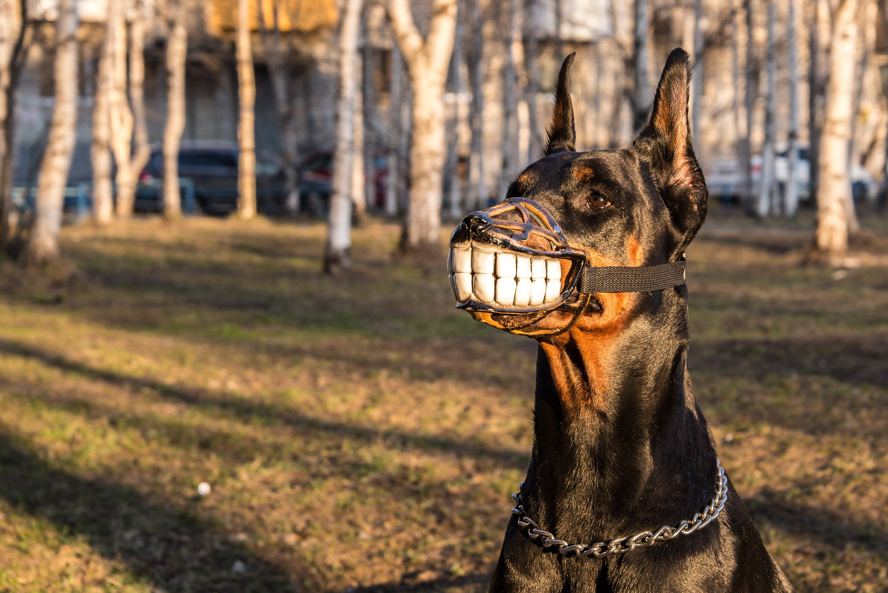 bloody teeth muzzle