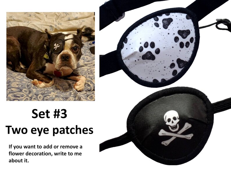 Set of Two Custom Eye Patches for Dogs. Etsy