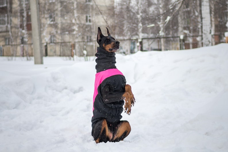 Doberman Pinscher Winter Dog Coat Winter Jacket Custom Etsy