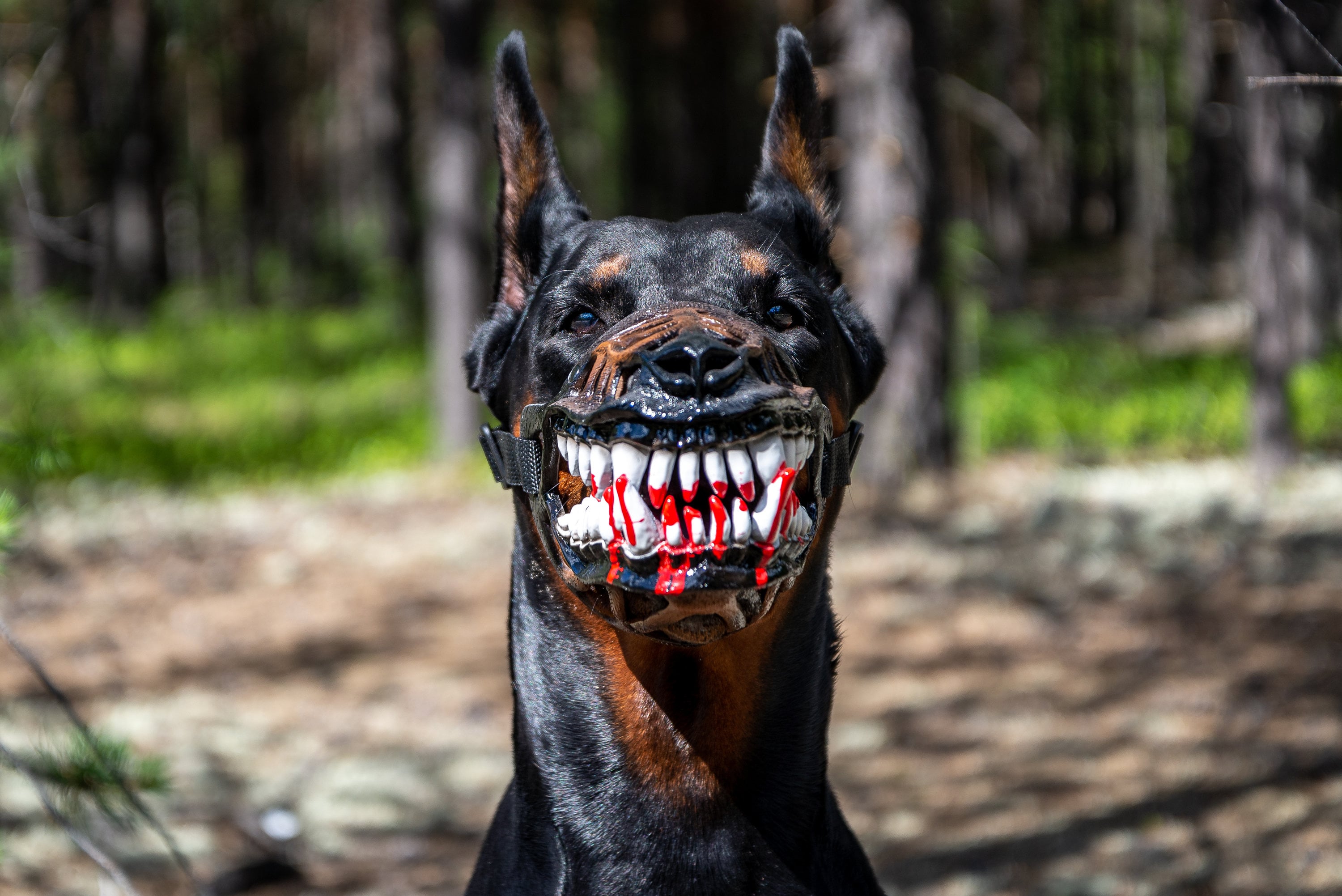 Pet Gift Werewolf Dog Muzzle Scary Doberman Muzzles Custom - Etsy