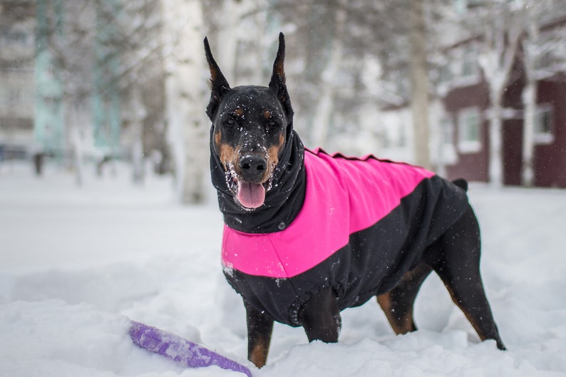 Doberman Pinscher Winter Dog Coat Winter Jacket Custom Etsy