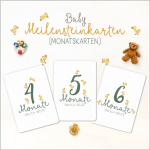 Baby Meilensteinkarten | Enten/Entchen | Baby Monatskarten | Fotokarten für Mädchen & Jungen | Zur Schwangerschaft und Geburt | Größe A5