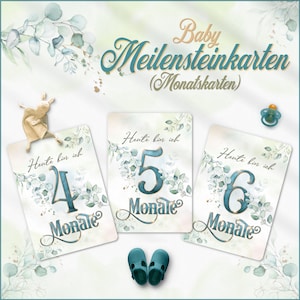 Baby Meilensteinkarten Eukalyptus | Baby Monatskarten | Fotokarten für Mädchen & Jungen | Zur Schwangerschaft und Geburt | Größe A6 oder A5