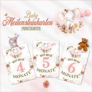Baby Meilensteinkarten | Elefant | Baby Monatskarten | Fotokarten für Mädchen & Jungen | Geschenk zur Schwangerschaft und Geburt | Größe A5