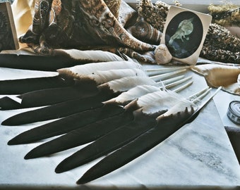 One Red Kite Wing Feather, Large Outer Wing Feather, Bird Of Prey, Ceremonial Healing Feathers