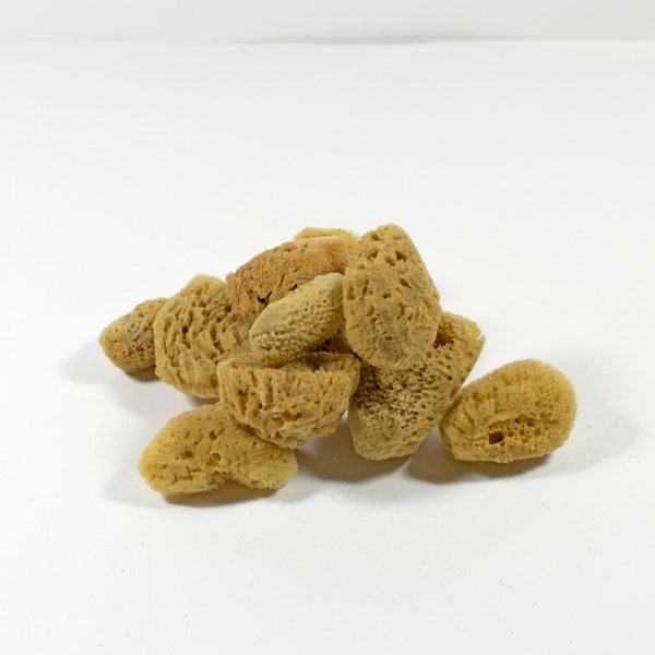 Natural Kalymnos Greek Sea Sponges Honeycomb - Unbleached Facial Sponges  2.0-4.0 cm (1.0"- 1.5"inches) - Pack of 50