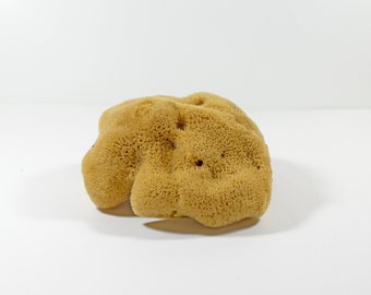 Natural Kalymnos Greek Sea Sponges Honeycomb - Unbleached Body Care  16.0 - 18.0 cm (7.0"- 7.5"inches)  Bath Shower
