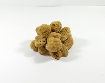 Natural Kalymnos Greek Sea Sponges Honeycomb - Unbleached  Facial Sponges  2.0-4.0 cm (1.0"- 1.5"inches)  - Pack of 10