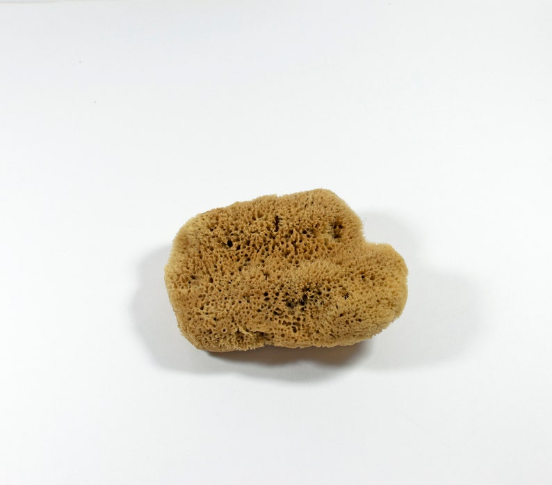 Natural Kalymnos Greek Sea Sponges Unbleached Body Care 12.0