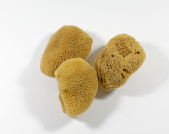 Natural Kalymnos Greek Sea Sponges Honeycomb - Unbleached Facial Sponges  7.0  cm (3.0")  - Pack of 5