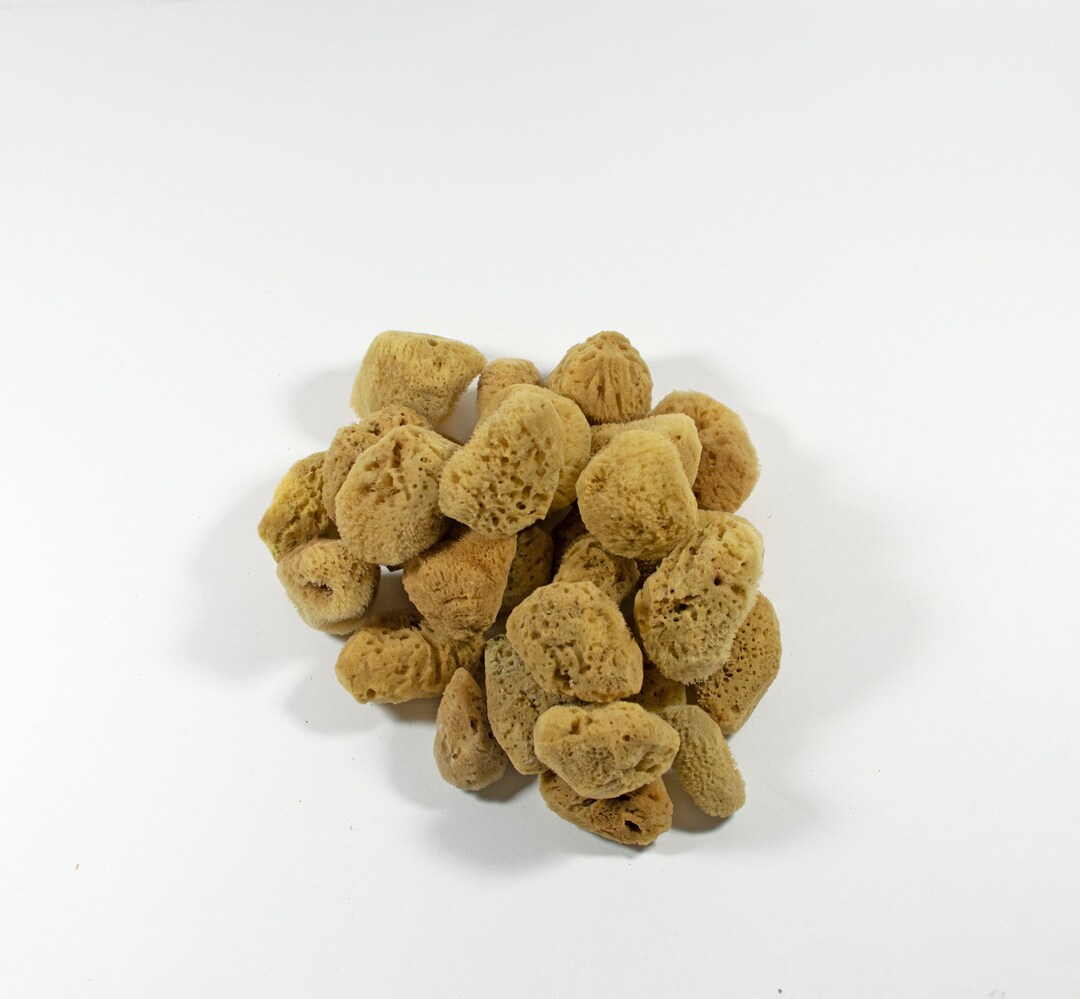 Natural Kalymnos Greek Sea Sponges Unbleached Facial Sponges