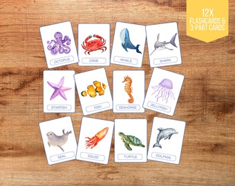 Sea Animals Flashcards: Preschool Learning Activities (PDF)