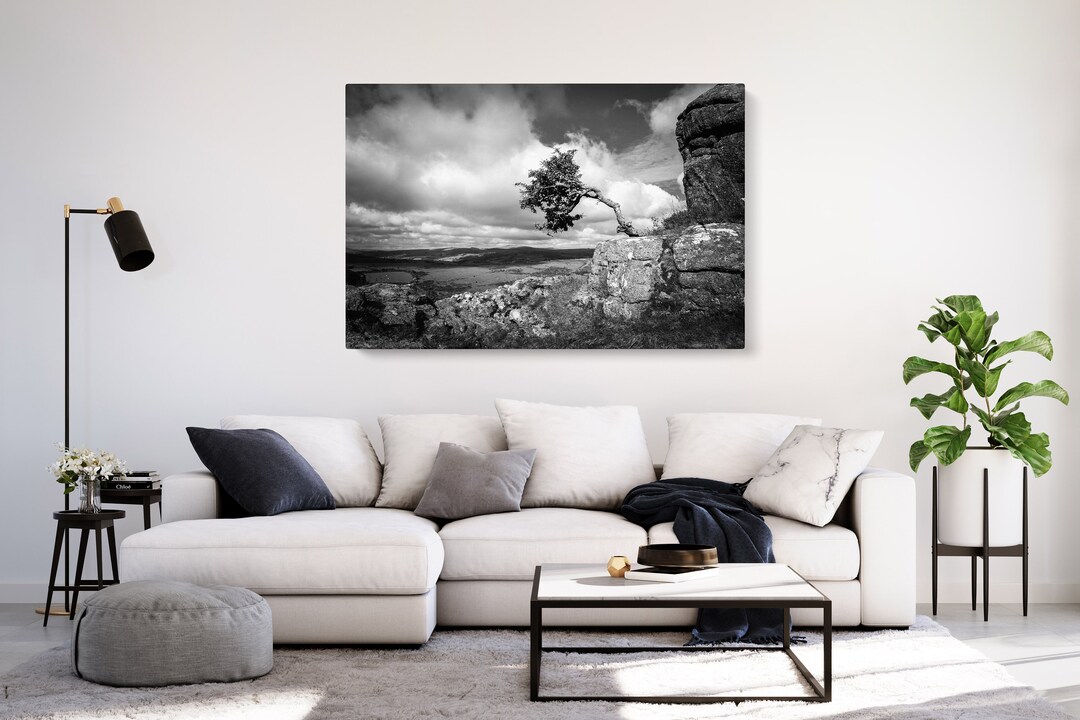 Dartmoor Tree at Haytor Rocks Photography Canvas | Black and White ...