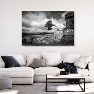 Dartmoor Baum bei Haytor Rocks Fotografie Leinwand | Schwarz-Weiß Landschaft Foto-Set von 1 2 3 5 Stück Split Panel | England Große Wandkunst