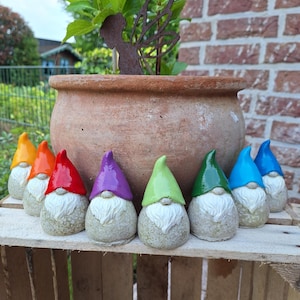 Könnte beinhalten: Eine Ansammlung von Keramik-Gartenzwergen mit bunten Hüten in Gelb, Orange, Rot, Lila, Grün und Blau. Jeder Zwerg hat einen weißen Bart und steht auf einer Holzkiste. Ein Terrakotta-Topf mit Grünzeug und eine Metallfee-Silhouette befinden sich im Hintergrund.