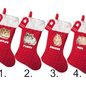 PERSONALISED:  your PET name HAMSTER, your name print xmas Christmas stocking , santa, presents - 4 styles