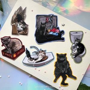 Adesivi per gatti buffi, adesivi in vinile per gattini sciocchi / adesivi per laptop, tumbler, quaderni, divertenti e carini, idea regalo meme per gli amanti dei gatti