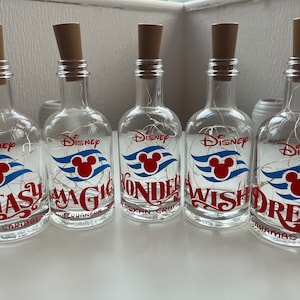 Disney inspired Cruise ship LED Lights / Personalised