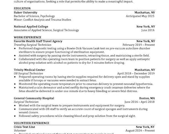 Resume Template Professional CV Modern Resume for Job Application Editable Google Docs File Instant Digital Download Clean Minimal Design