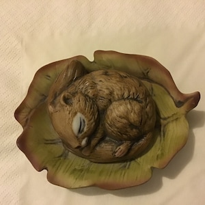 Squirrel asleep on a leaf by Jaffa Rose
