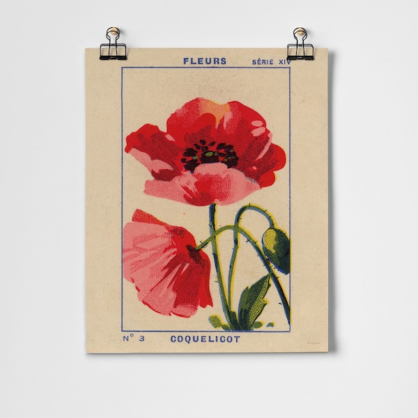 Coquelicot (Poppy) Fine Art Print